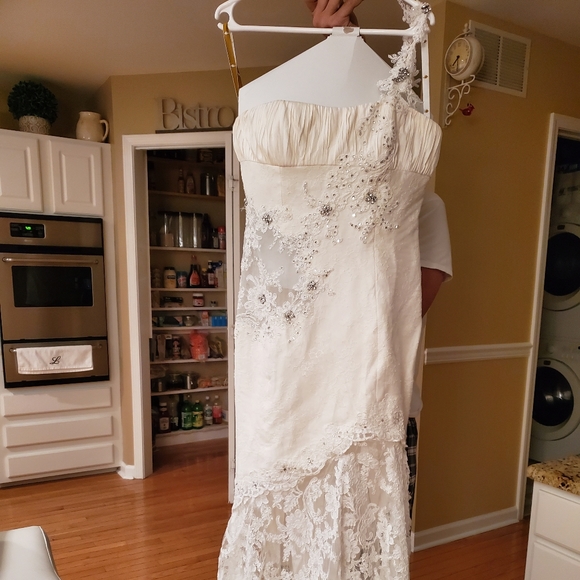 Avine Perucchi St Pucchi Wedding Gown - Picture 2 of 8